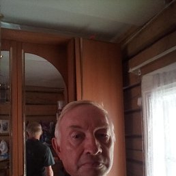 , 61, 