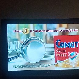 ���� �����, �������, 36 ��� - ��������� 2 ����� 2024