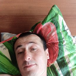 , 34, 