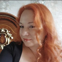 ������, �����-���������, 40 ���