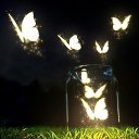 ���� �����, ������ - ��������� 22 ������ 2024 � ������ ���� ����������