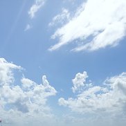 �����, 50 ���, �����-���������