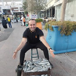 ���� Umut, �����������, 36 ��� - ��������� 31 ��� 2025