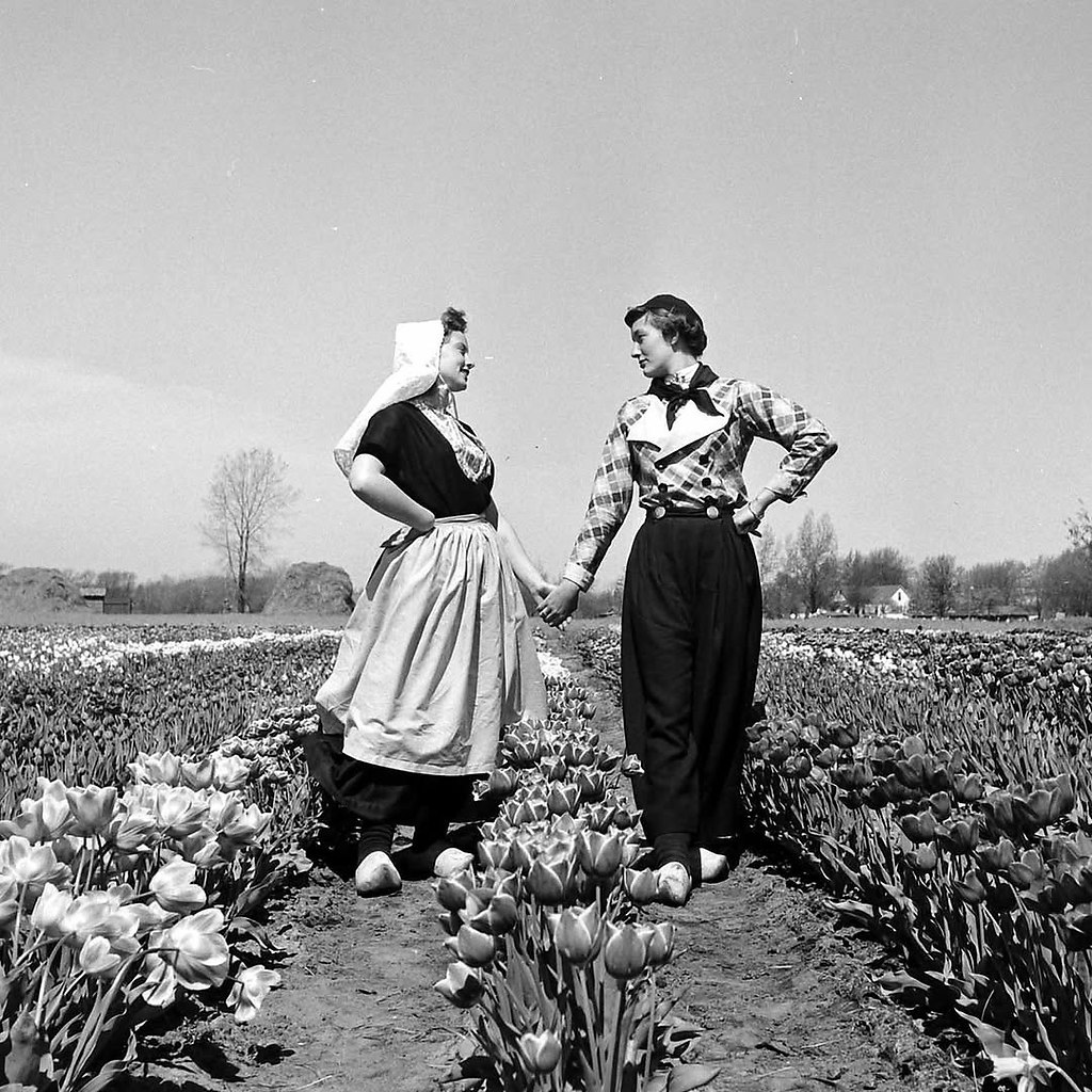       1950 . - 6
