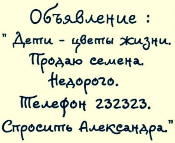   . - 11  2025  15:18
