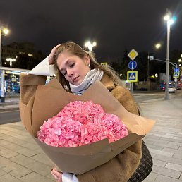 , 26 , 