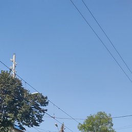 ����, ������������, 21 ���