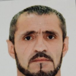 , 46, 