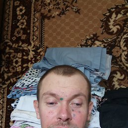 , 33, 