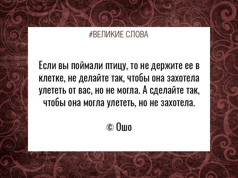 ������� ����� | ������, ����� � �������� - 8 ������ 2025 � 14:00