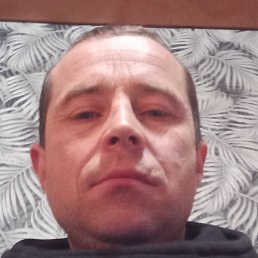 ���������, �����, 44 ����