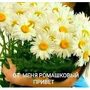  , --, 57  -  31  2025    