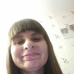 ���� �������, ���������, 49 ��� - ��������� 13 ������� 2026