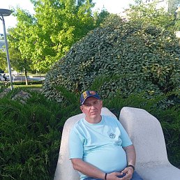, 53, 