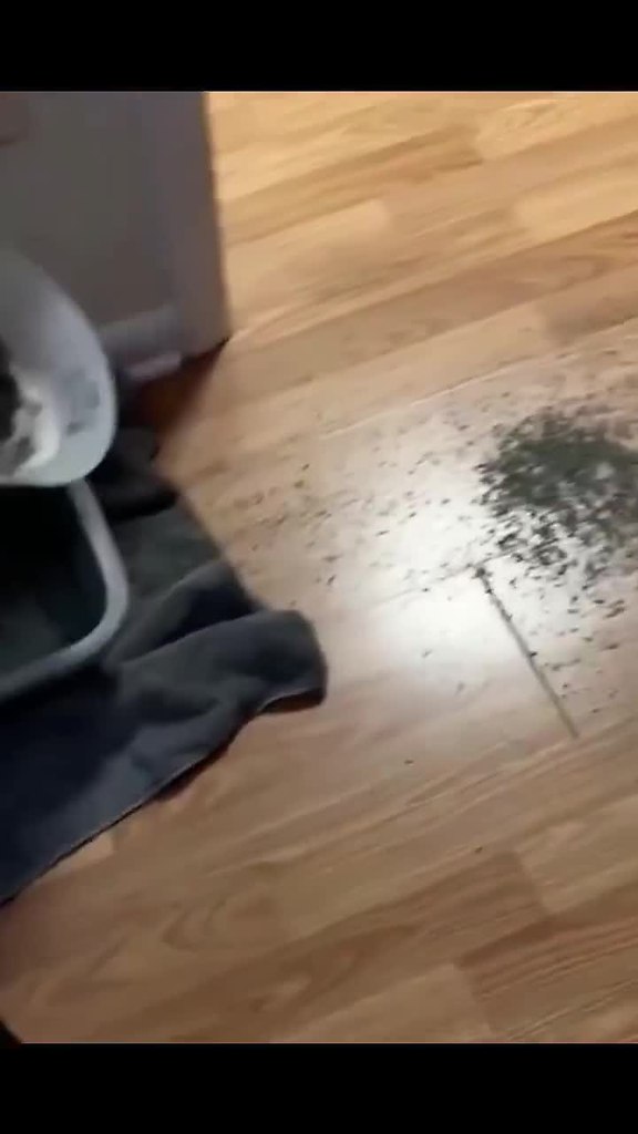    ,      !