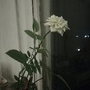 ���� ����, ����, 31 ��� - ��������� 21 ������ 2025 � ������ ������ ���������� ����ۻ