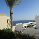 ���� ��������, �����, 67 ��� - ��������� 18 ������ 2025 � ������ ���� ����������