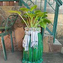 ���� �������=, ������, 64 ���� - ��������� 11 ������� 2024 � ������ ���� ������ ��������� �� �������