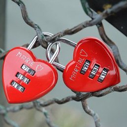 ���� ������, ������, 41 ��� - ��������� 5 ������ 2026