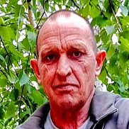 , 54 , 