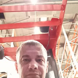 , 43, 