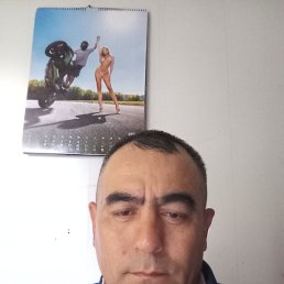 , 45, 