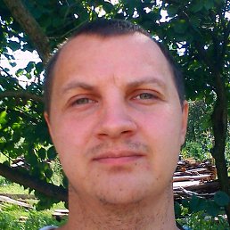 ����, �����������, 37 ���