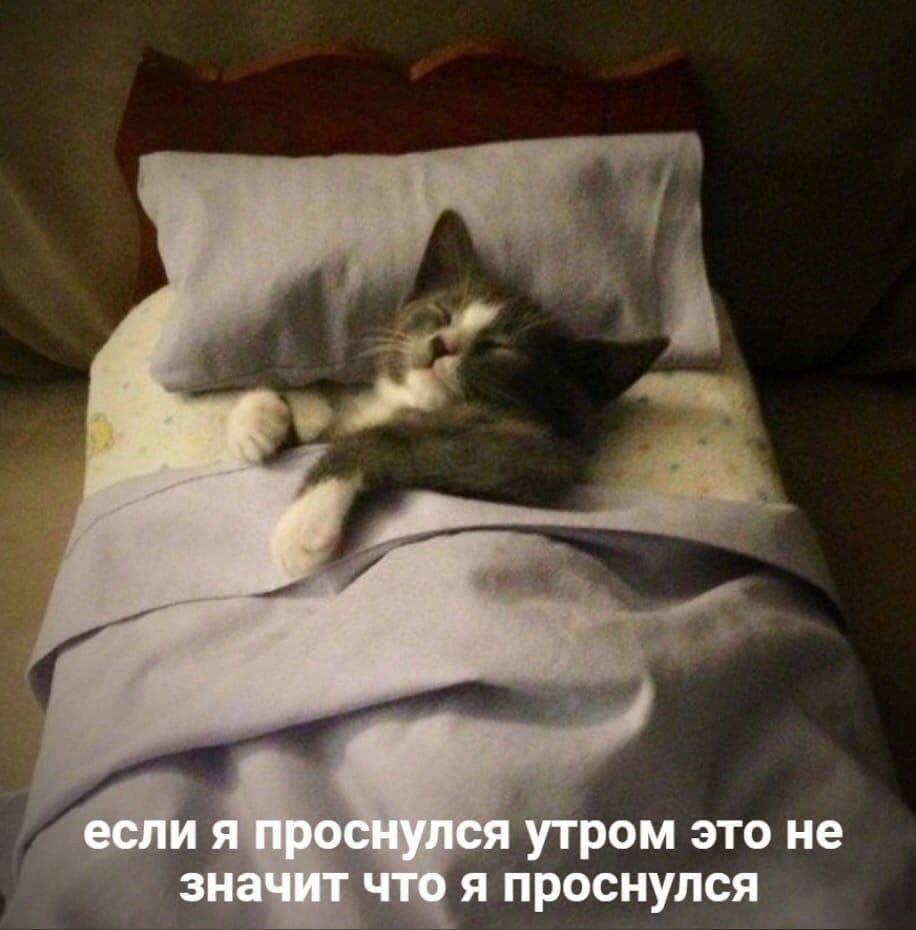    - 20  2024  22:11