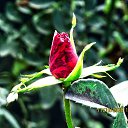 ���� ������, ��������� - ��������� 17 ������� 2025 � ������ ������ �� �����