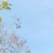 , 29 , 