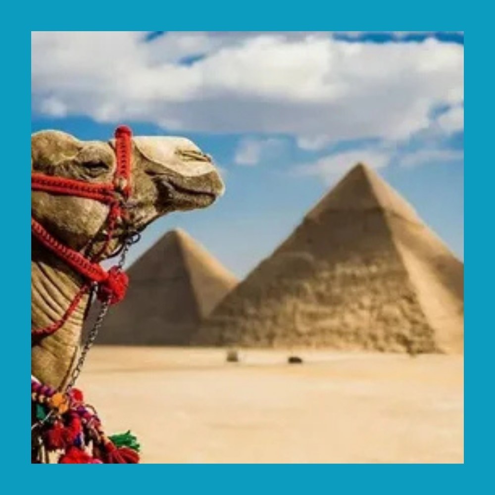     ?        . 1  2026  ... - 3