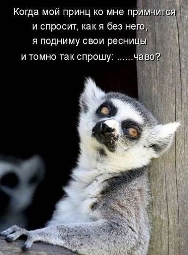  - 8  2024  19:49