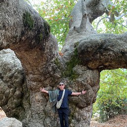 �������, 49 ���, ��������