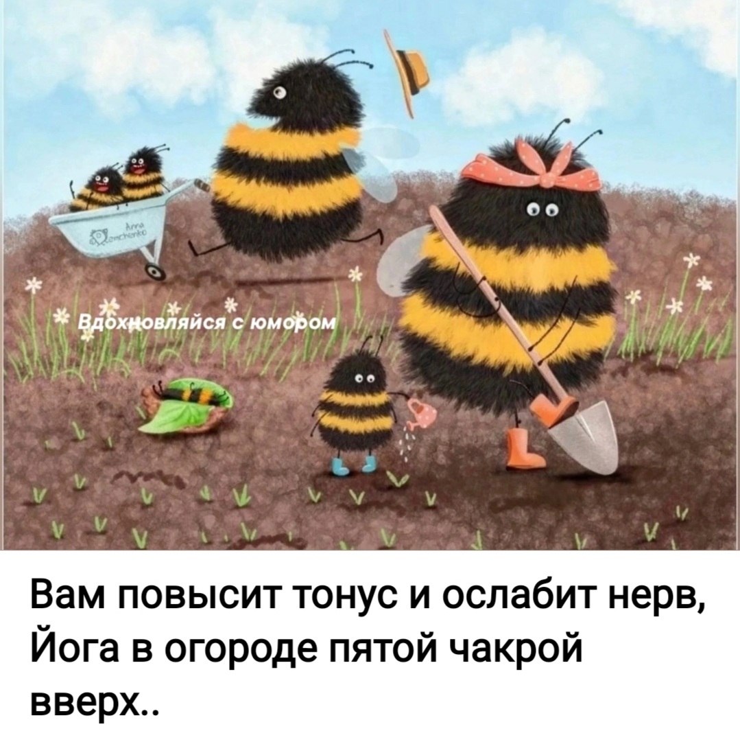 *T* - 7  2025  15:06