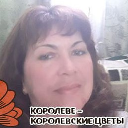 �����, ���������, 54 ����