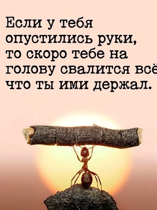  - 13  2025  10:30 - 4