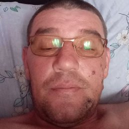 ����, �������, 41 ���