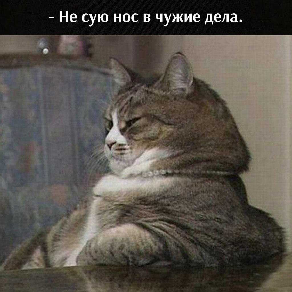       - 24  2024  15:58 - 2