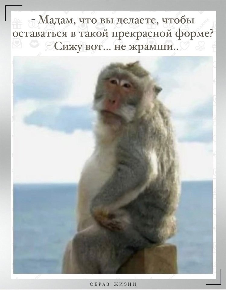 Co-Motivation.... . - 16  2025  09:49