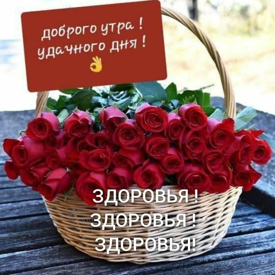 ***Victoria Viktorovna*** - 27  2023  05:44 - 2