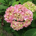 ���� ���������, ������, 47 ��� - ��������� 26 ������� 2026 � ������ ���� ����������