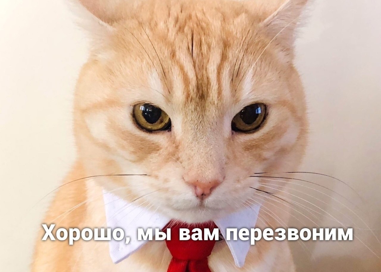 ��� ����� - 2