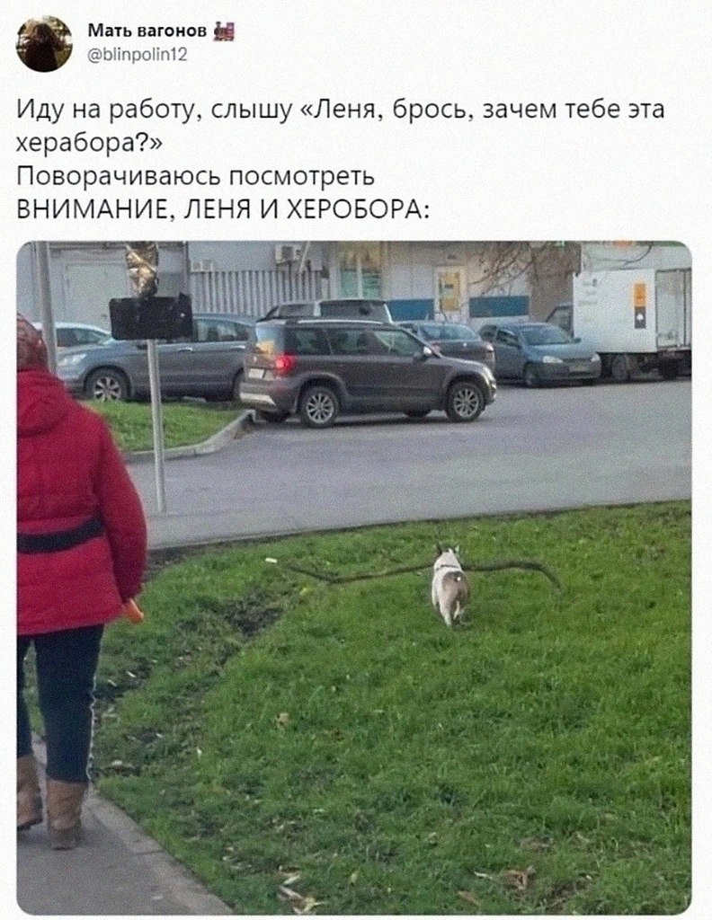    ˸ !