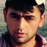 ������, 33 ����, ������