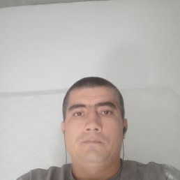 , 39, 