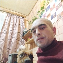 , 37, 