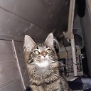 ���� ���������, ���, 71 ��� - ��������� 11 ������ 2024 � ������ ���� ����������