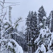 �������, 20 ���, ����������