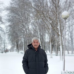 , 61, 