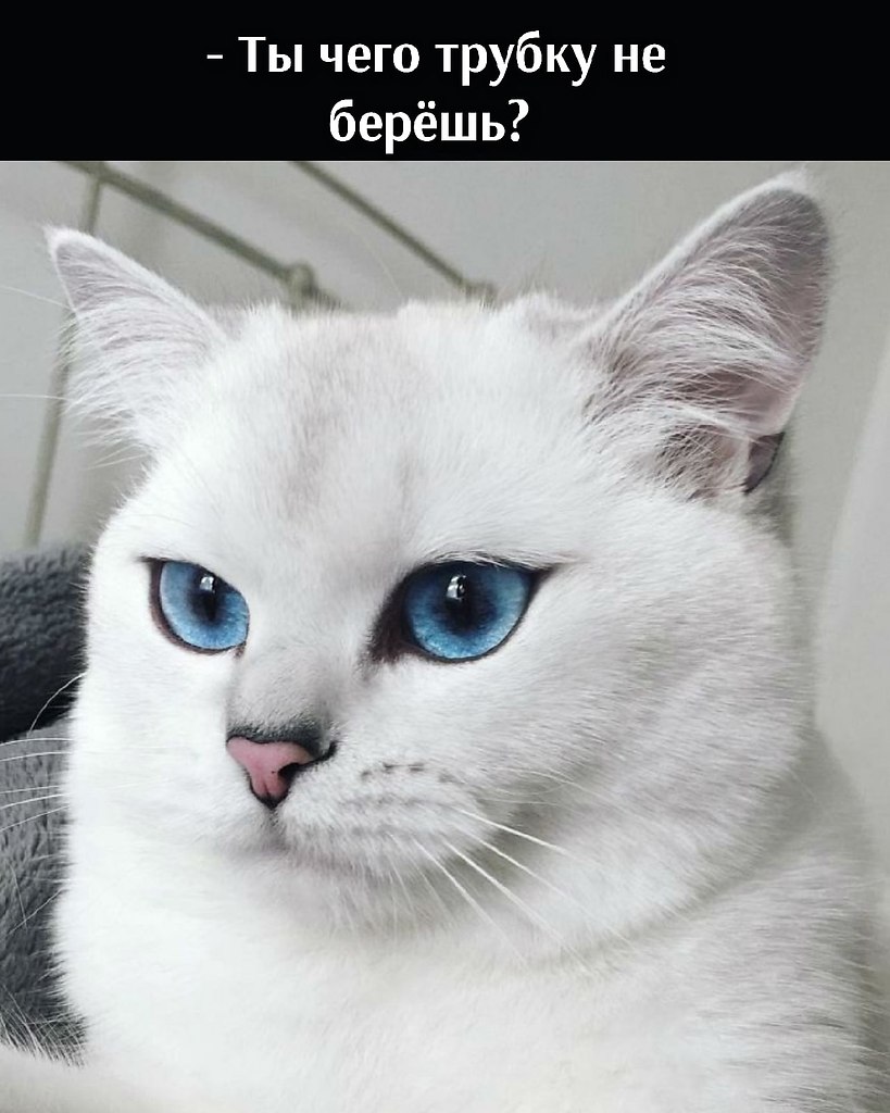 ��� ���� � ����� �� �� - 31 ������� 2025 � 12:30